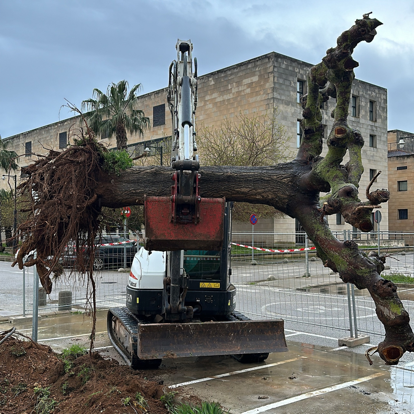 430064118_17997499022581422_9181230118090344783_n 1